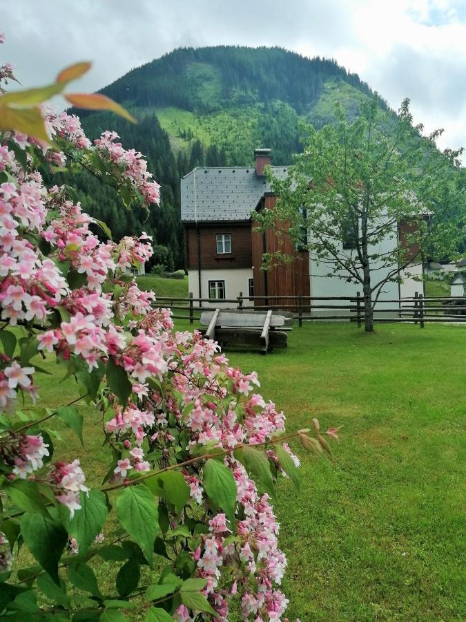 Himmlisch Urlauben St. Nikolai Διαμέρισμα Sankt Nikolai im Sölktal Εξωτερικό φωτογραφία