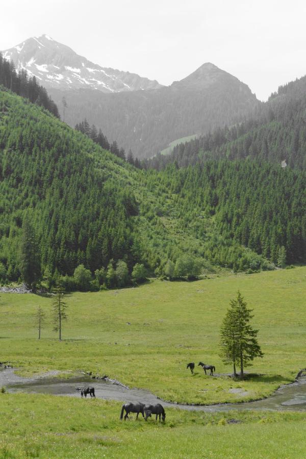 Himmlisch Urlauben St. Nikolai Διαμέρισμα Sankt Nikolai im Sölktal Εξωτερικό φωτογραφία
