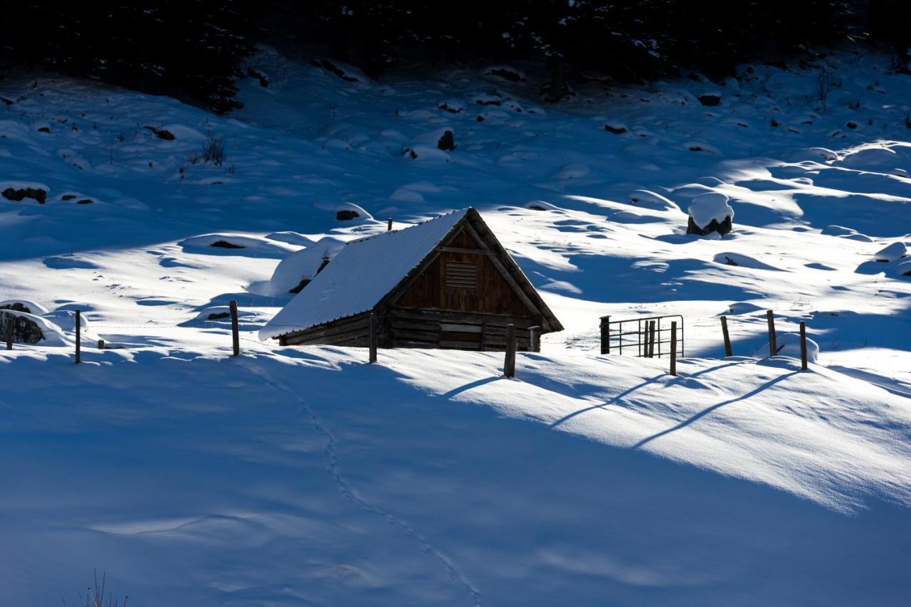 Himmlisch Urlauben St. Nikolai Διαμέρισμα Sankt Nikolai im Sölktal Εξωτερικό φωτογραφία